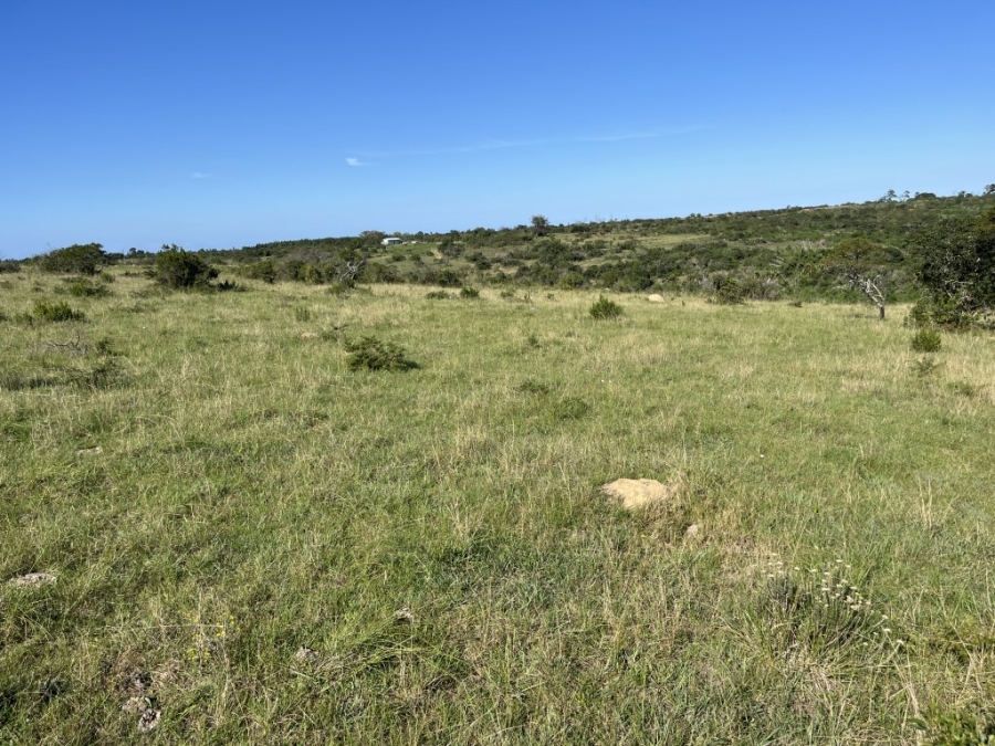 Commercial Property for Sale in Bathurst Rural Eastern Cape